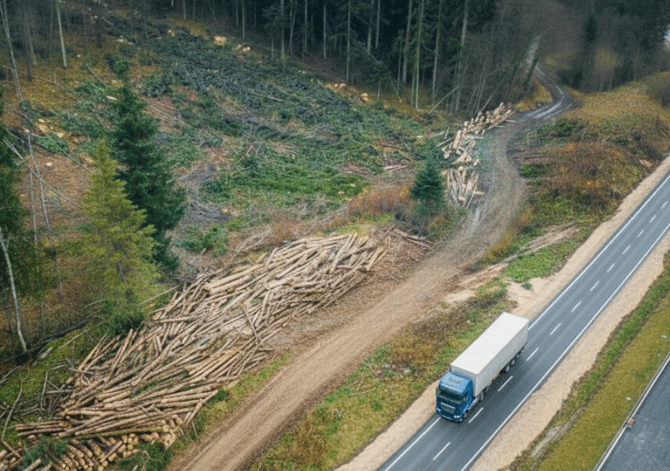 Projekt bez nazwy (35)